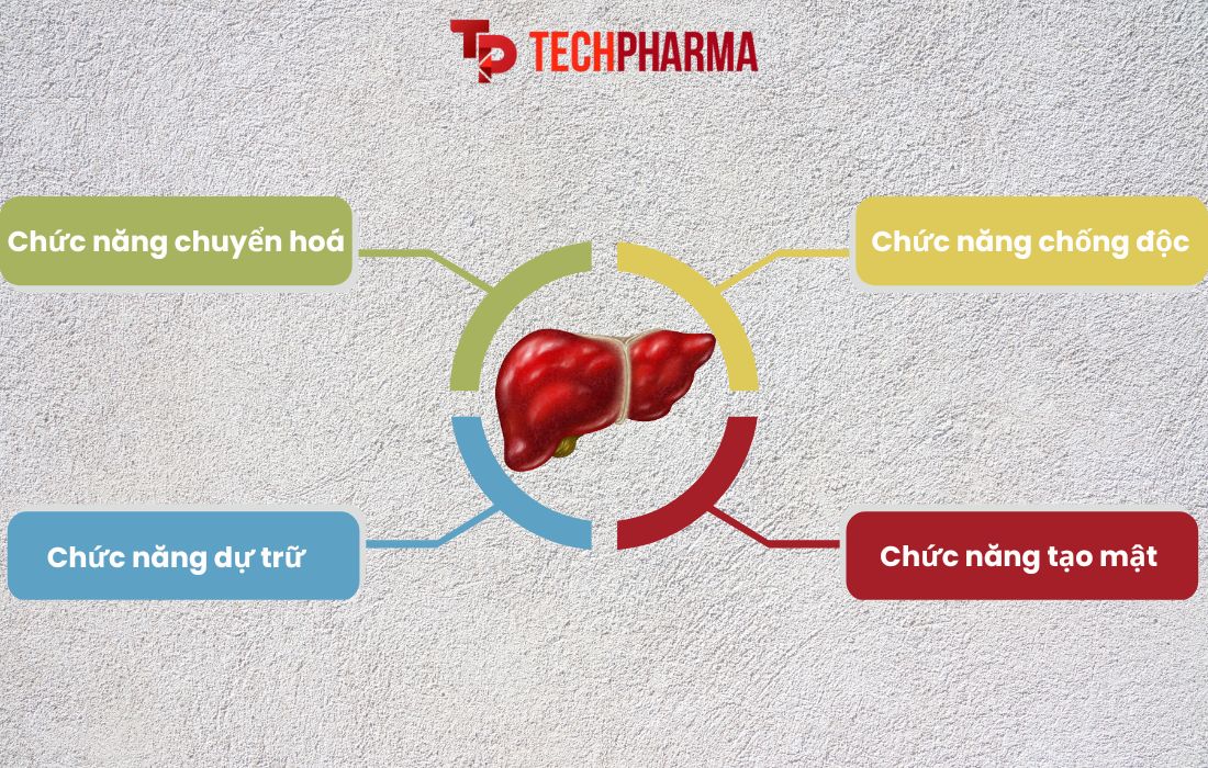 Dấu hiệu suy giảm chức năng gan